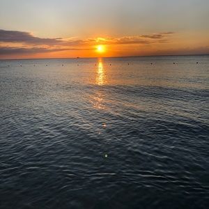 Meet your Posher, Brett